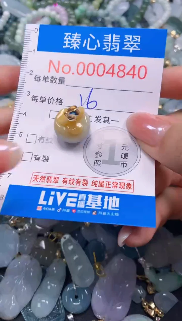 吊坠(不含链)未镶嵌翡翠4840