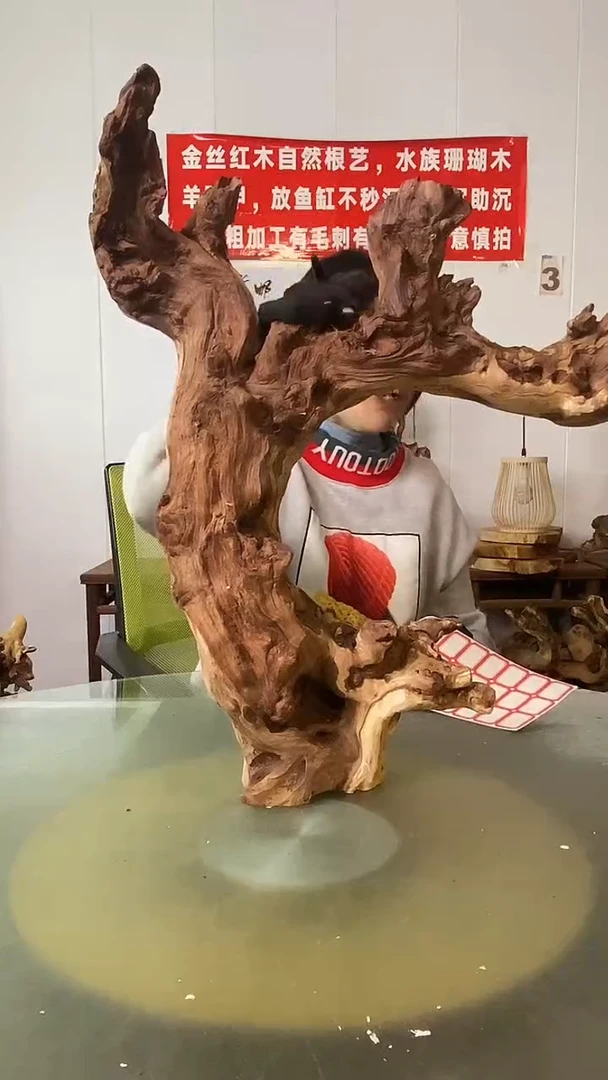 木人****邓金丝红木  羊蹄甲