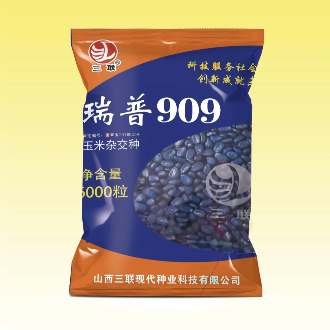 山西三联正品瑞普909玉米种子