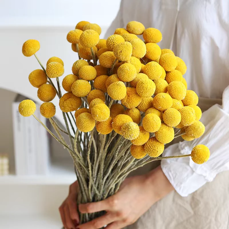 黄金球干花花束永生花高级感真花装饰DIY花材客厅家居装饰摆件