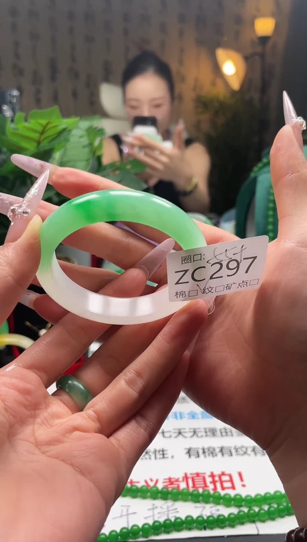 金玉满堂翠满楼ZC297