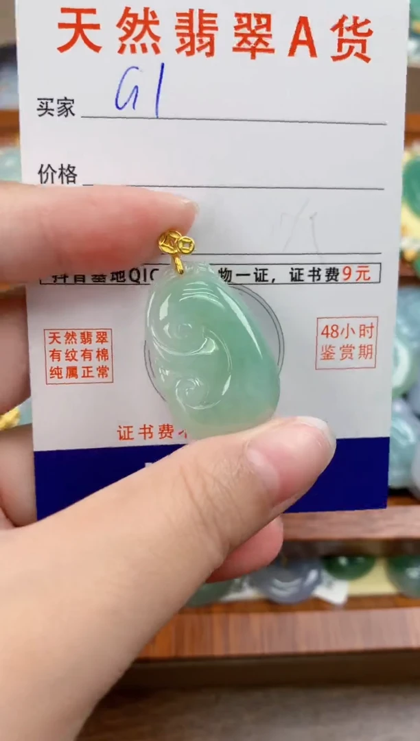 颈饰未镶嵌翡翠天然A货翡翠挂件