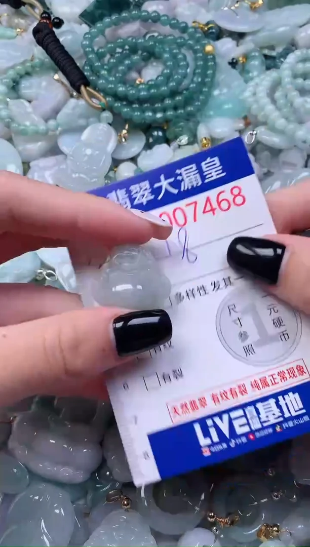 颈饰未镶嵌翡翠7468