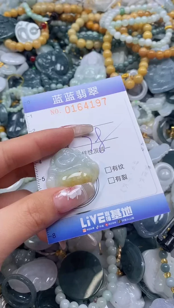 【闪购商品】翡翠颈饰未镶嵌闪购0164197