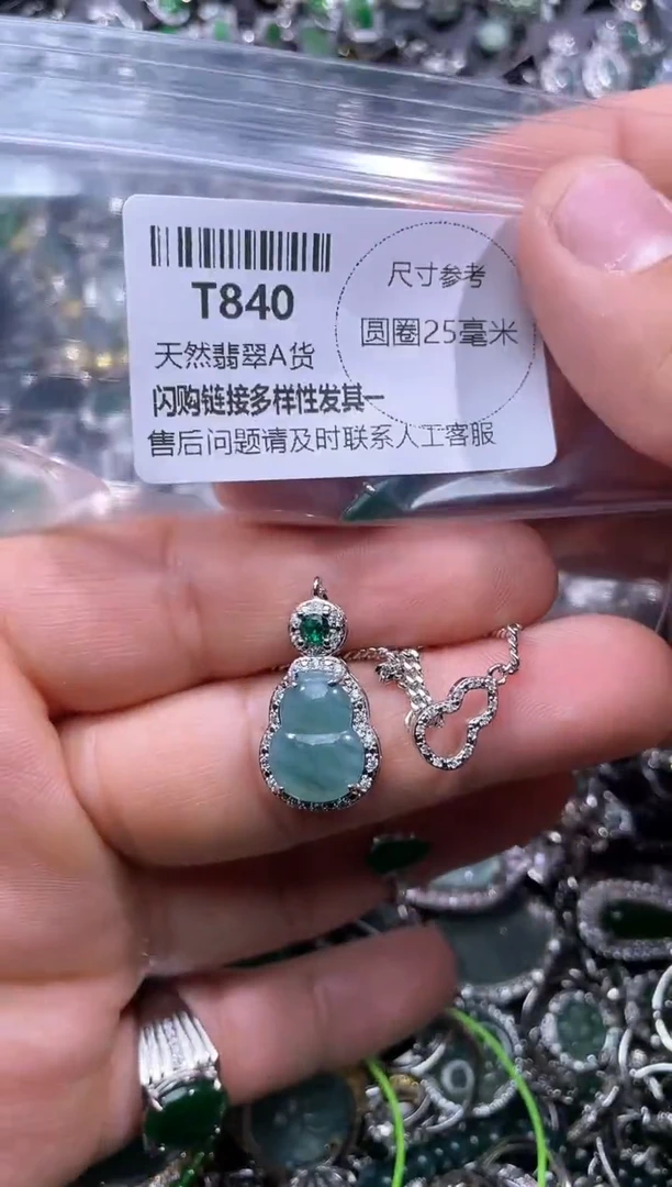 【闪购商品】翡翠颈饰未镶嵌T840项链