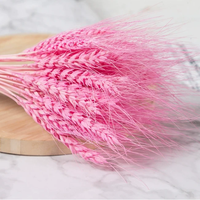 干花花束彩色麦子麦穗客厅卧室家居摆件拍摄道具DIY花材开业大麦