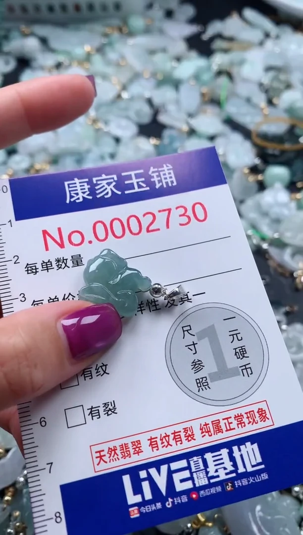颈饰未镶嵌翡翠2730