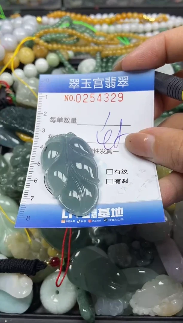 颈饰未镶嵌翡翠闪购C0254329