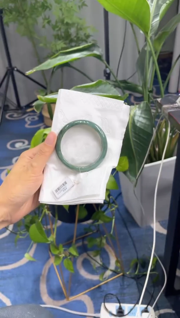 未镶嵌手镯翡翠4787****