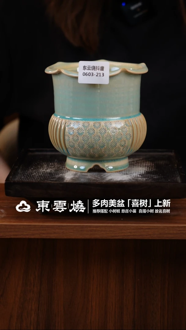 0603-213C  喜树口9