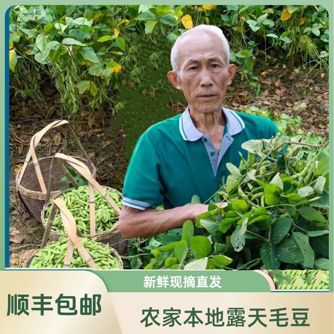 【顺丰包邮】安福毛豆助农0利润农家本地露天新鲜毛豆生毛豆新鲜