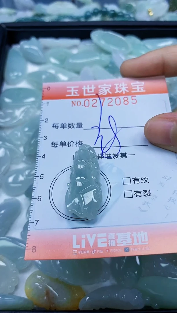 翡翠未镶嵌颈饰闪购0272085