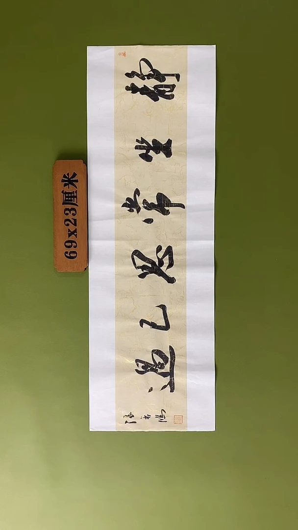 书法书法 张若鸿 尺寸69cm*23cm
