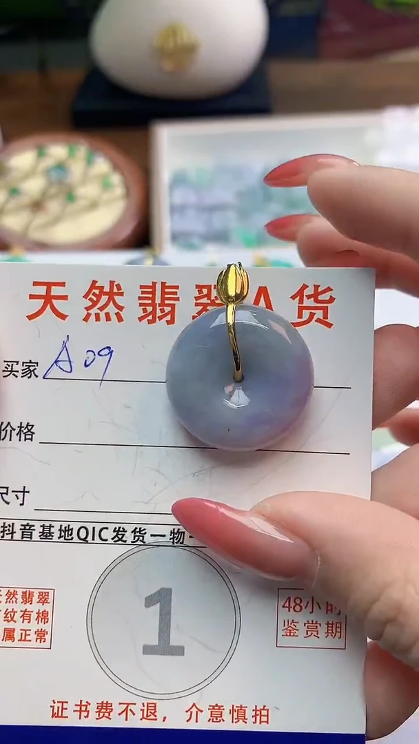 颈饰未镶嵌翡翠天然A货翡翠挂件
