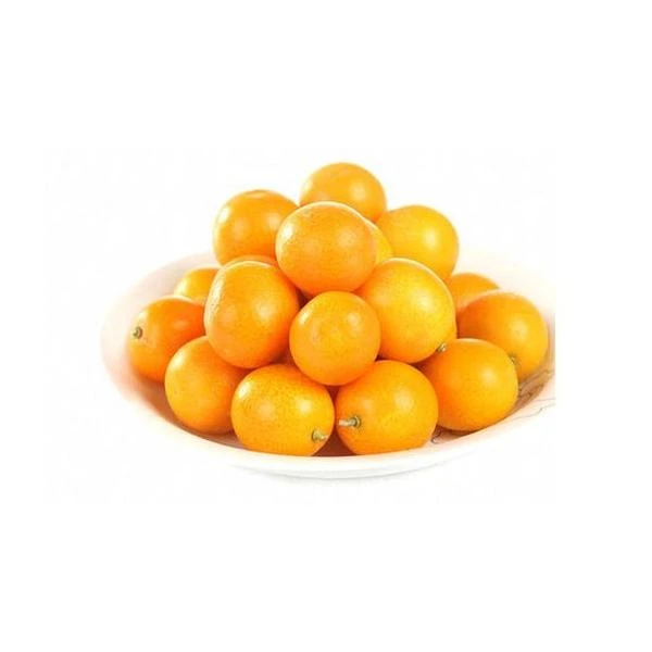 【连州配送】约1斤广西金桔王新鲜清甜金橘广西壮族自治区