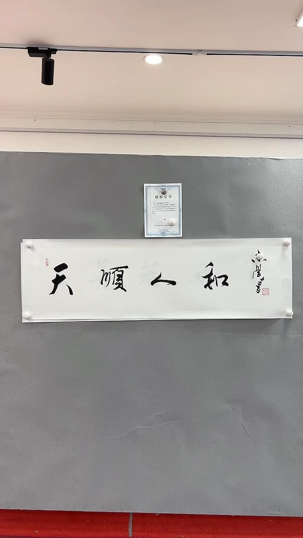 【闪购商品】书法雅艺典藏文化书法
