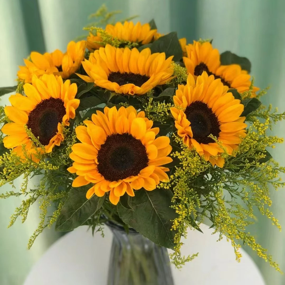 【云南向日葵】太阳花云南鲜花基地向日葵金榜题名包邮送保鲜剂