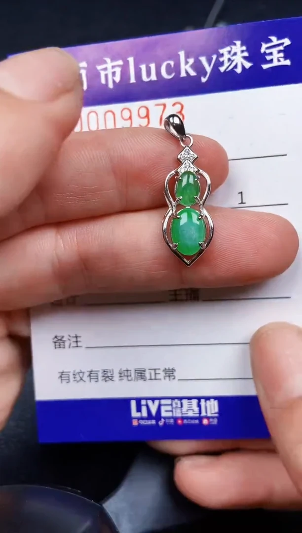 翡翠银S925镶嵌颈饰9973