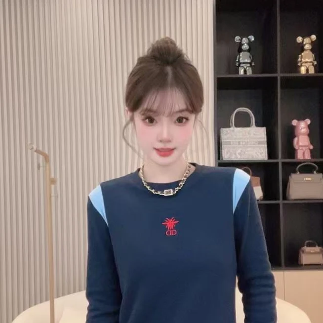 珊珊2025年新款上衣圆领休闲长袖套头修身C189