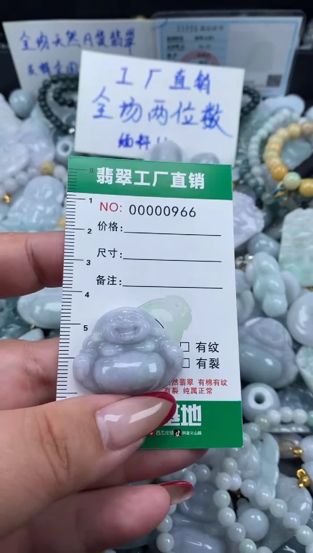 翡翠未镶嵌颈饰天然A货翡翠0966
