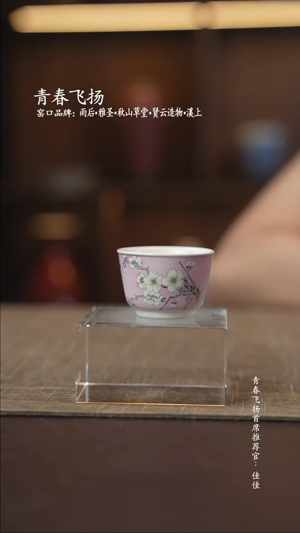 青春飞扬陶瓷浮力浮力