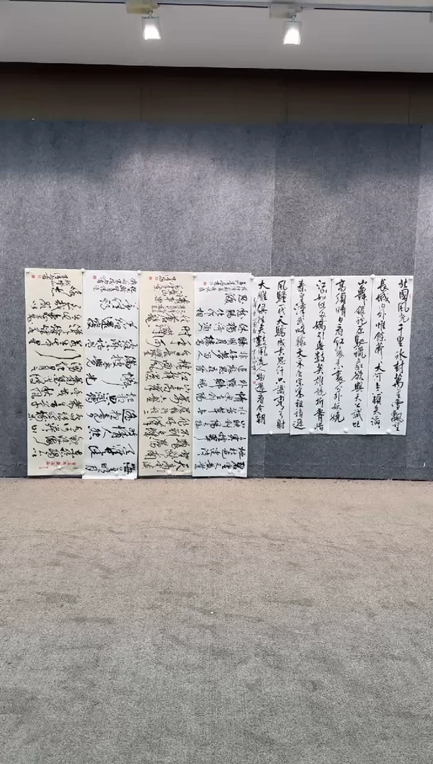 【闪购商品】书法pmb不二轩旗舰店国画SDG5