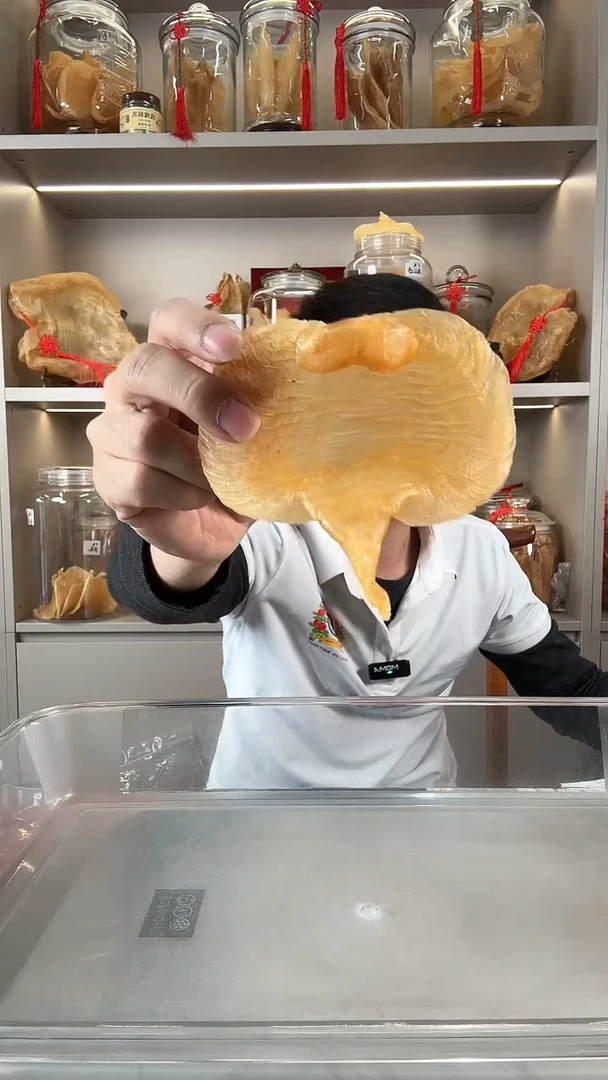 中国大陆赤嘴母胶