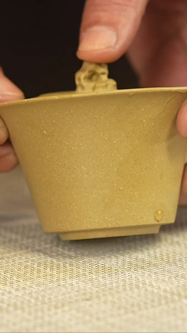 茶壶紫砂本绿盖碗