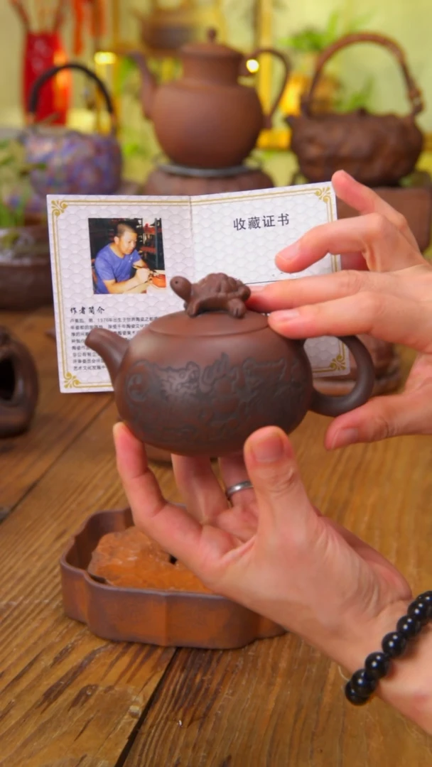 陶紫 长寿龟龟1111