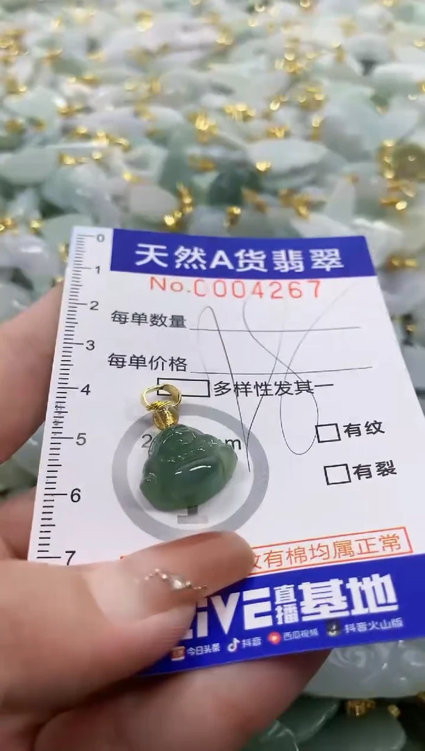 颈饰未镶嵌翡翠天然A货翡翠