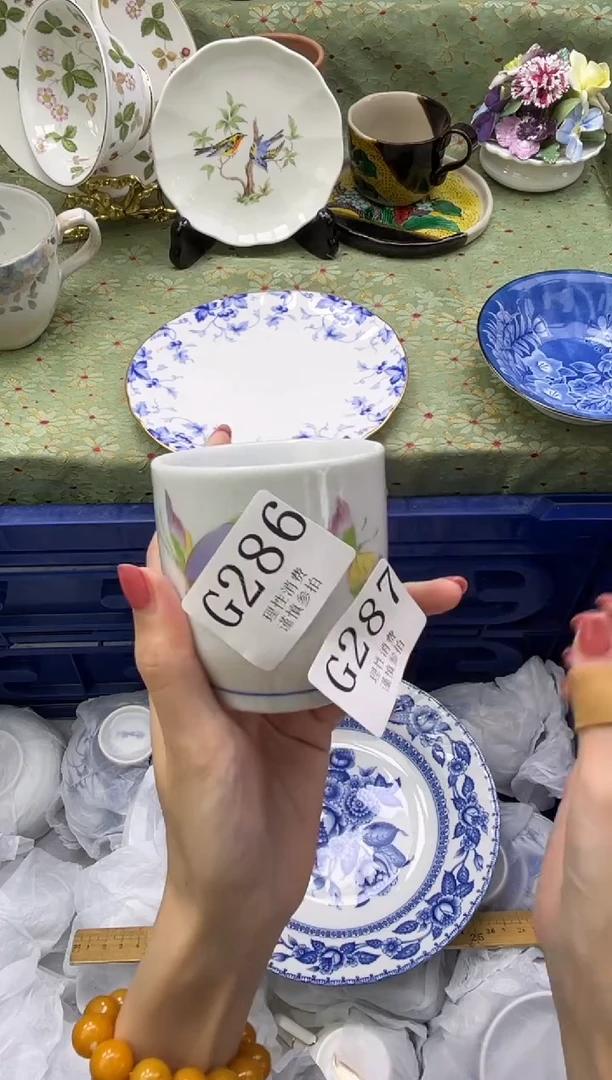 瓷片杨**依       G287