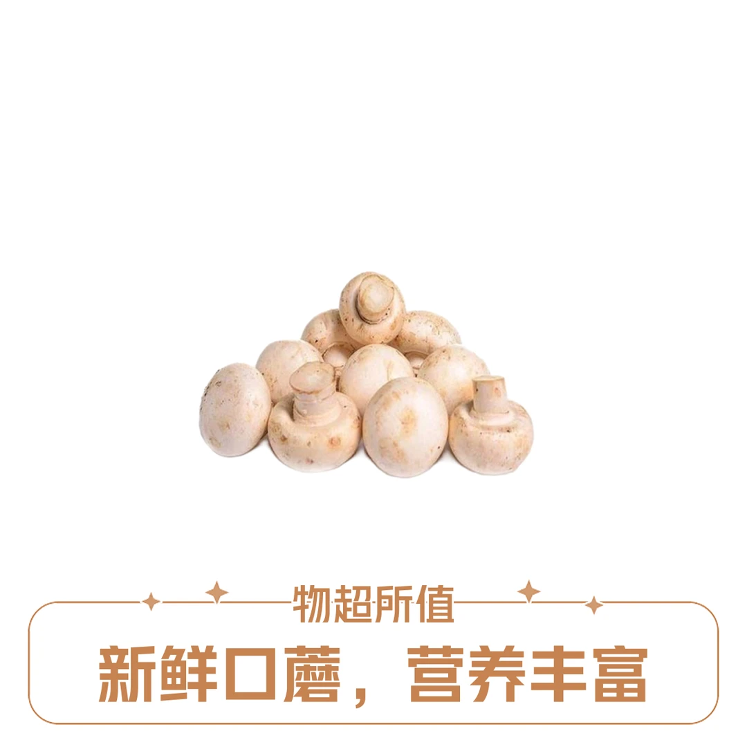 精品口蘑约230克