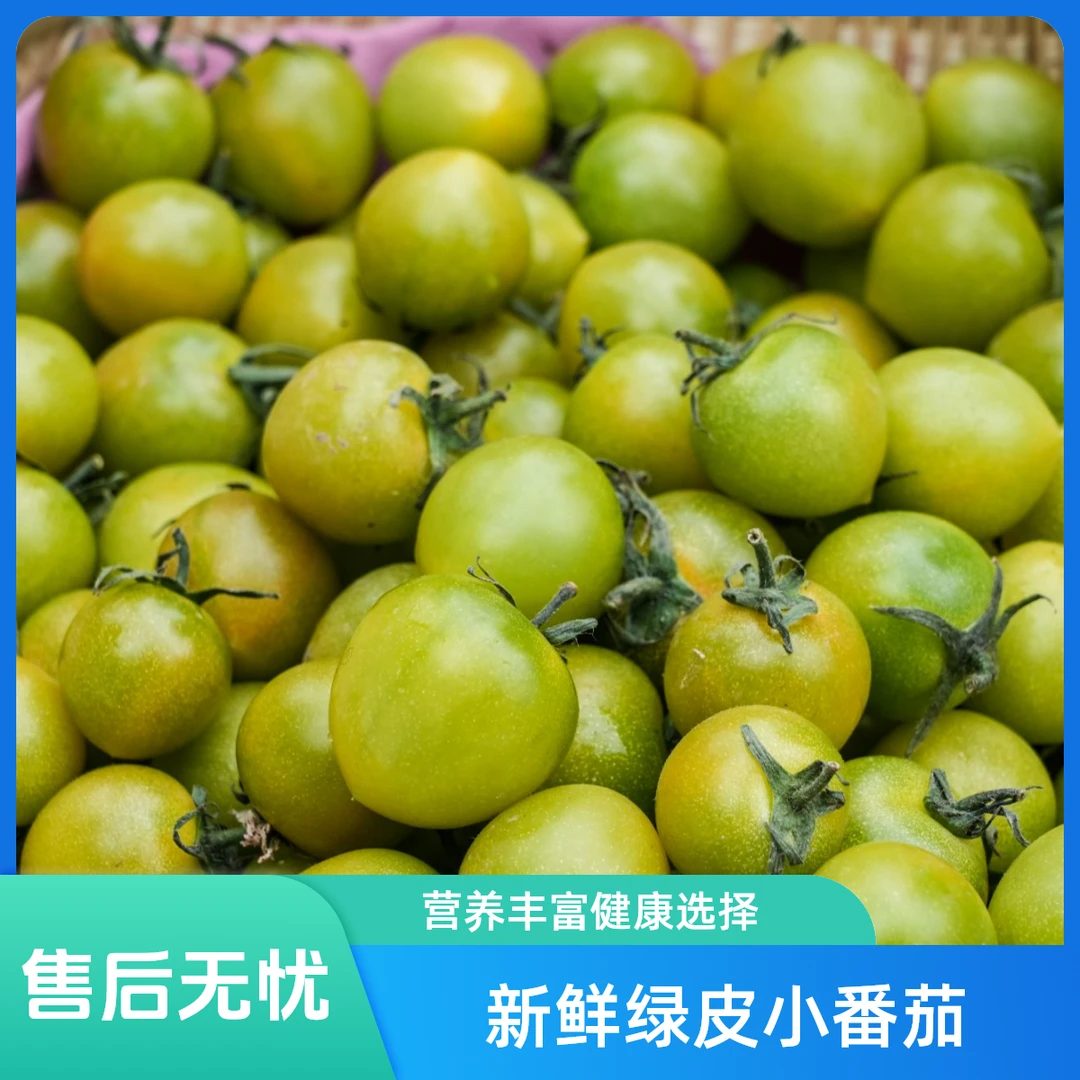 【甄营果蔬】(3斤小果)天津市第二届番茄擂台赛“二等奖”青甜番茄 小青卿西红柿小青卿天津市天津市
