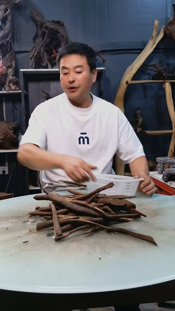 迷你枝条19.9清香阁清香阁清香阁