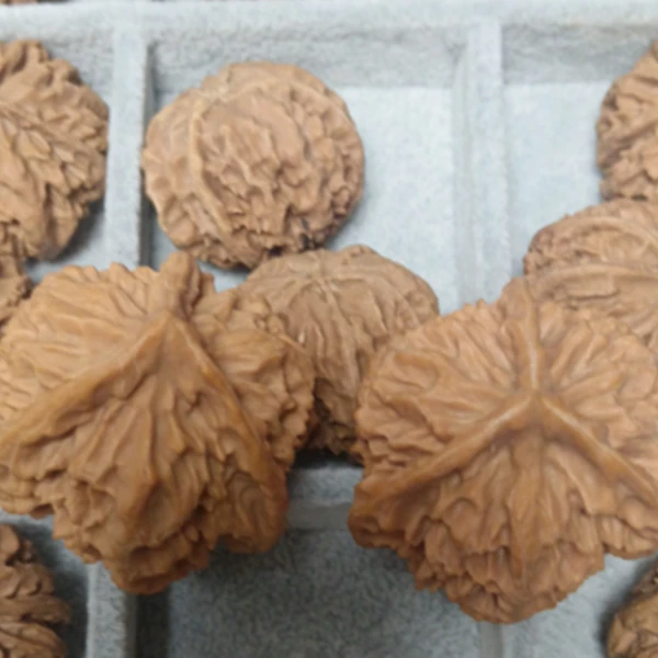 直播间展示为准 图片跟实物无关 秦岭野生高海拔生长的果子