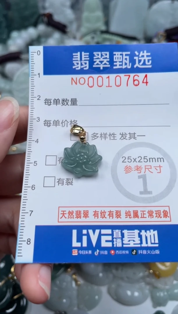 颈饰未镶嵌翡翠10764