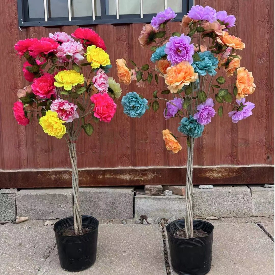 庭院阳台【一树三色编织造型丹麦牡丹花木槿】养死包赔死苗免费补发