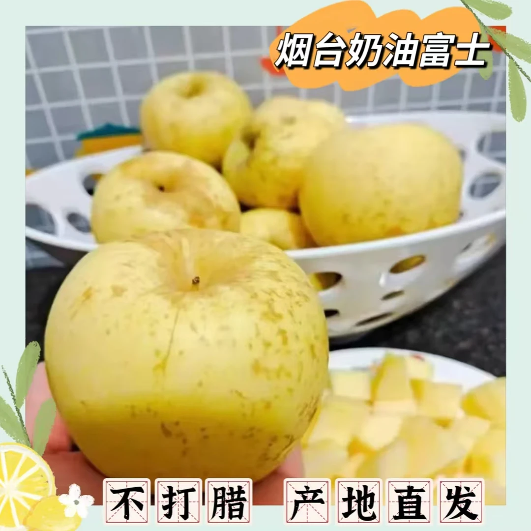 山东烟台奶油富士 霜降后采摘 不催熟不打蜡 坏果包赔产地直发