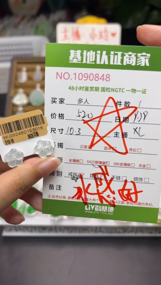 银S925镶嵌翡翠耳饰多人