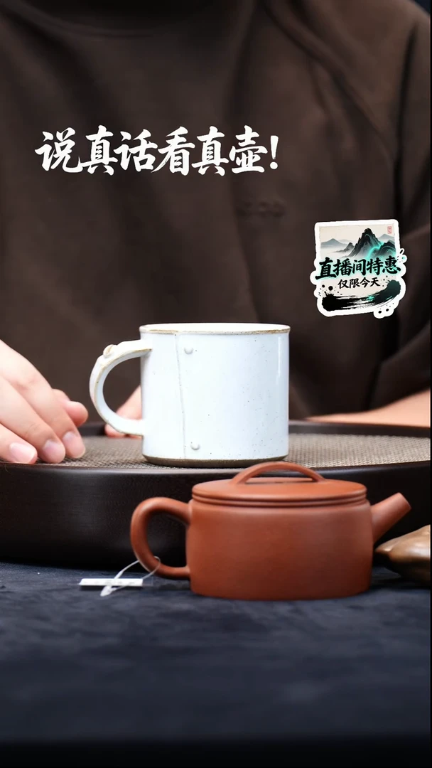 茶壶紫砂茶宠006