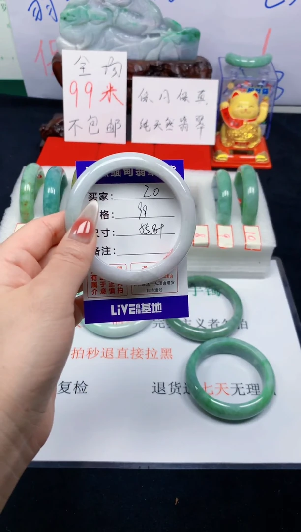 未镶嵌手镯翡翠20