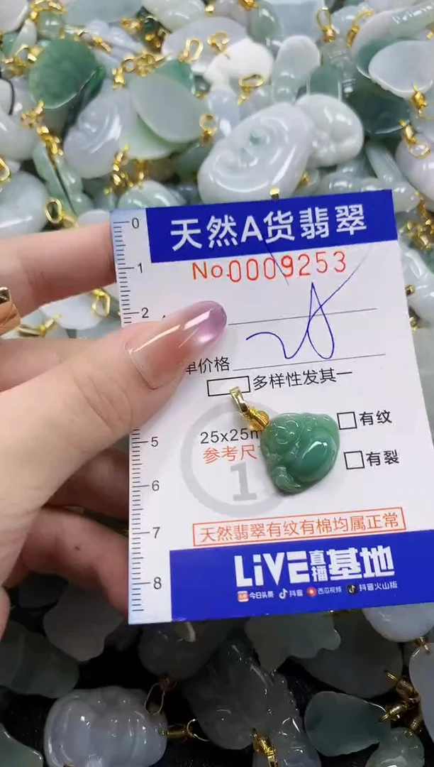 颈饰未镶嵌翡翠天然A货翡翠