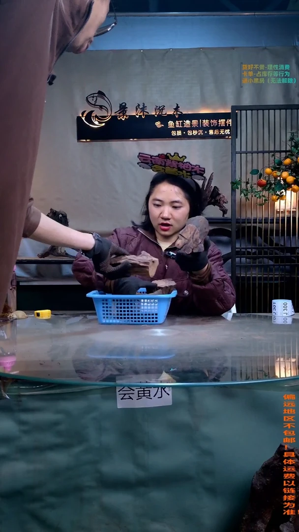 摆件景沐沉木J296景沐沉木J296