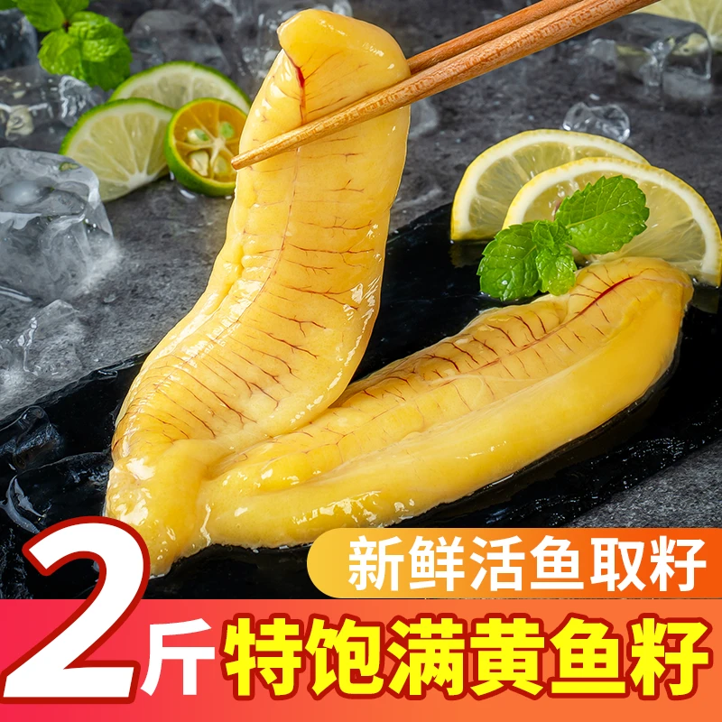 鱼籽新鲜冷冻黄花鱼籽鱼肚鱼卵鱼泡鲜活海鲜大辉水产鱼子鲜鱼籽