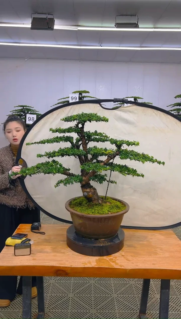 无花朵一物一拍一物一拍
