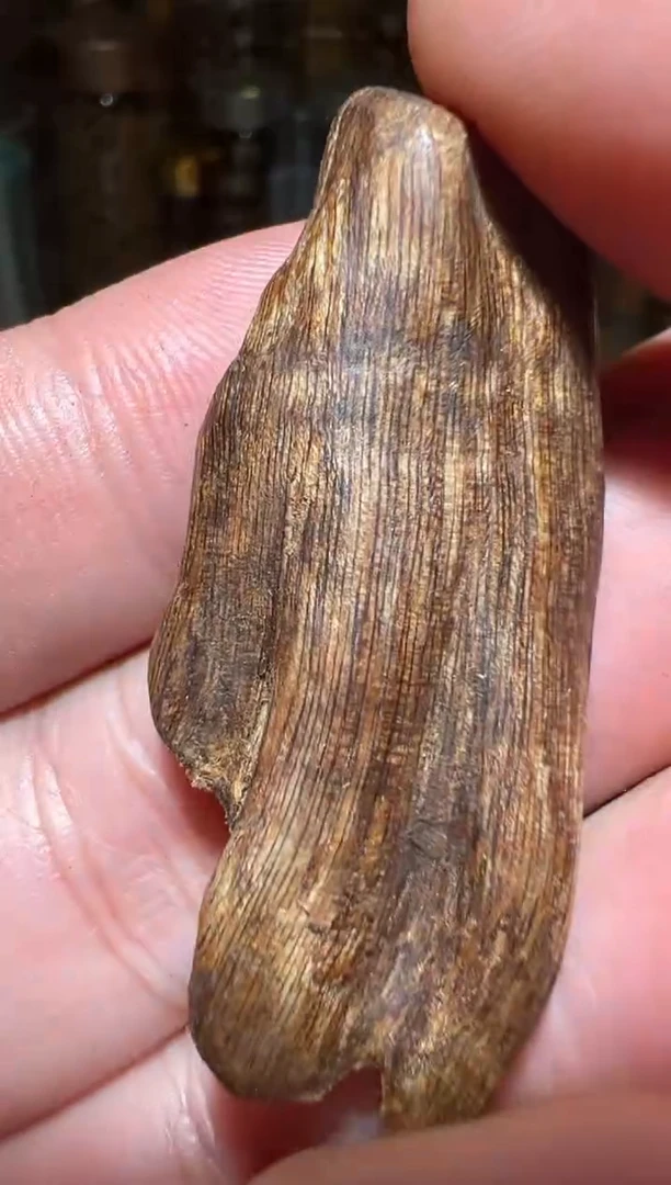 沉香沉香碎屑莱特2.2克