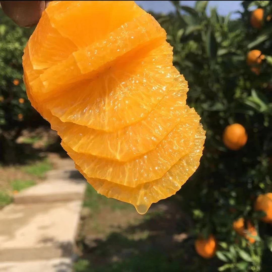 脐橙摆摊榨汁批发榨汁皮薄汁多25斤（榨汁果对品质要求高的别拍）