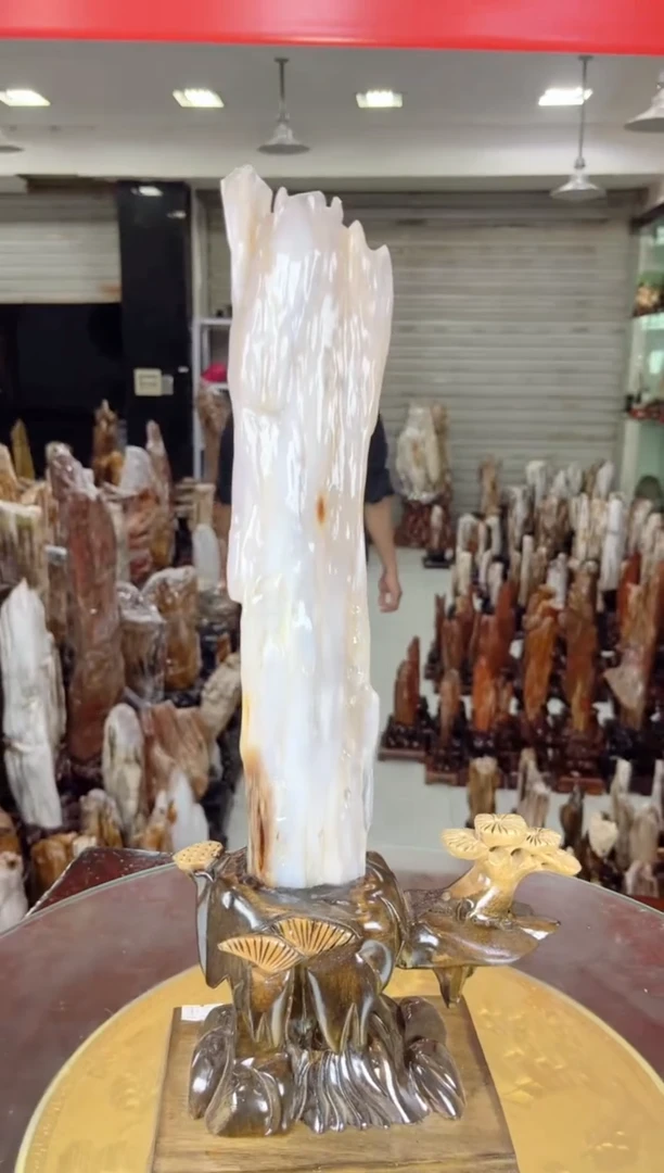 【闪购商品】硅化玉珠宝奇石未镶嵌缅甸天然树化玉