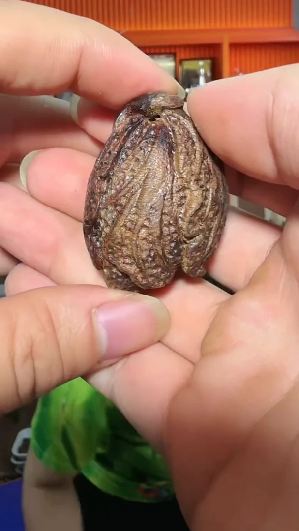 沉香吊坠27号红土白菜多样性发一