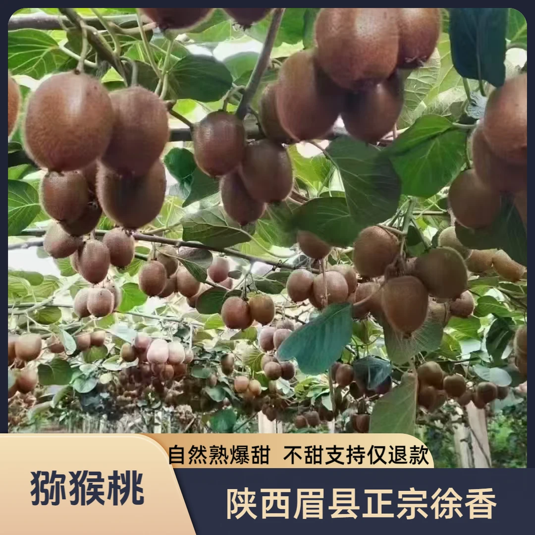 陕西绿心徐香猕猴桃新鲜采摘软糯多汁香甜可口孕妇可食坏果包赔